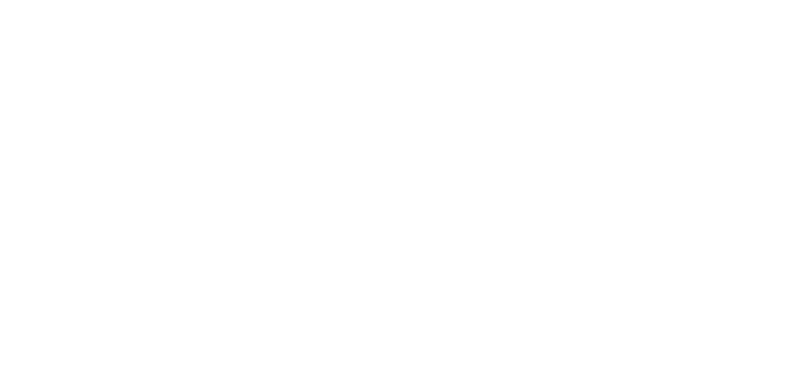 BlueDot Partners